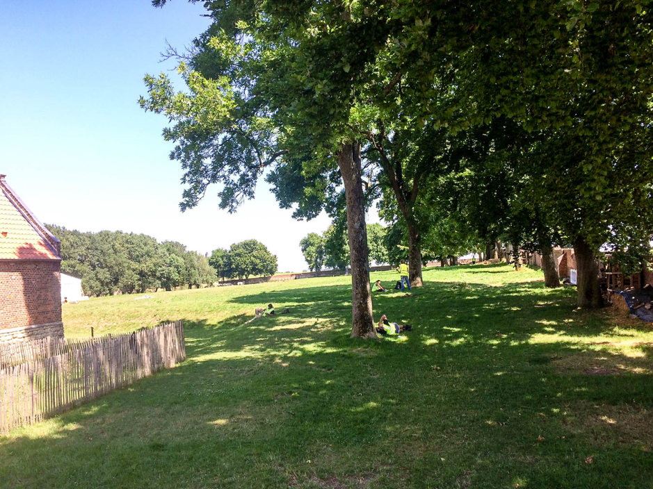 Looking for shade