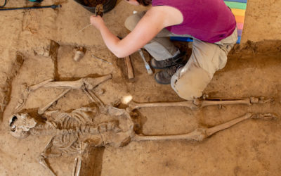 UPDATE: Excavation of the Skeleton Discovered at Mont-Saint-Jean