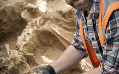 Aftermath: Exposing the Reality of Waterloo Battlefield Clearance