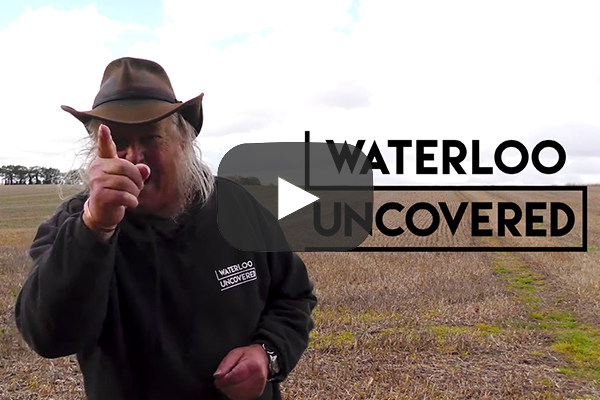 Waterloo Uncovered Needs You!
