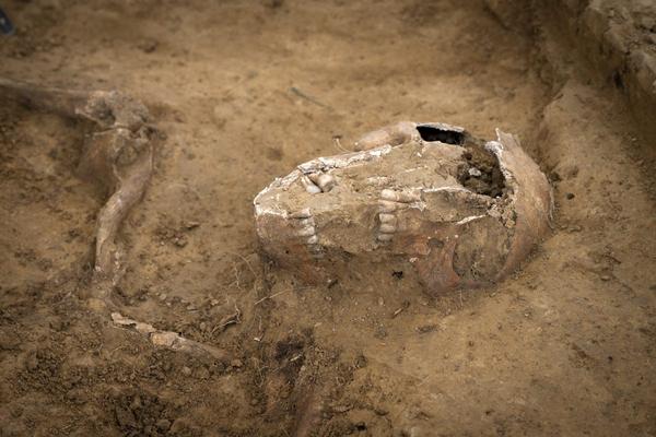 2.-An-articulated-skull-and-arm-discovered-at-Mont-Saint-Jean.-©chrisvanhouts-1200x800