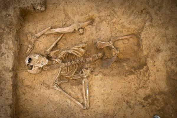 4.-The-skeleton-at-Mont-Saint-Jean-from-above-©chrisvanhouts-1200x800