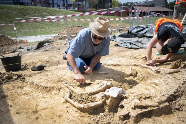 5.-AWaP-Archaeologist-Dominique-Bosquet-during-excavation-©chrisvanhouts-1200x800